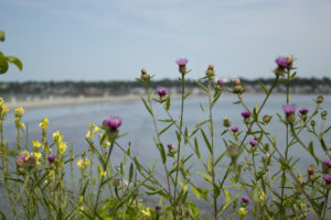 Newport, Rhode Island