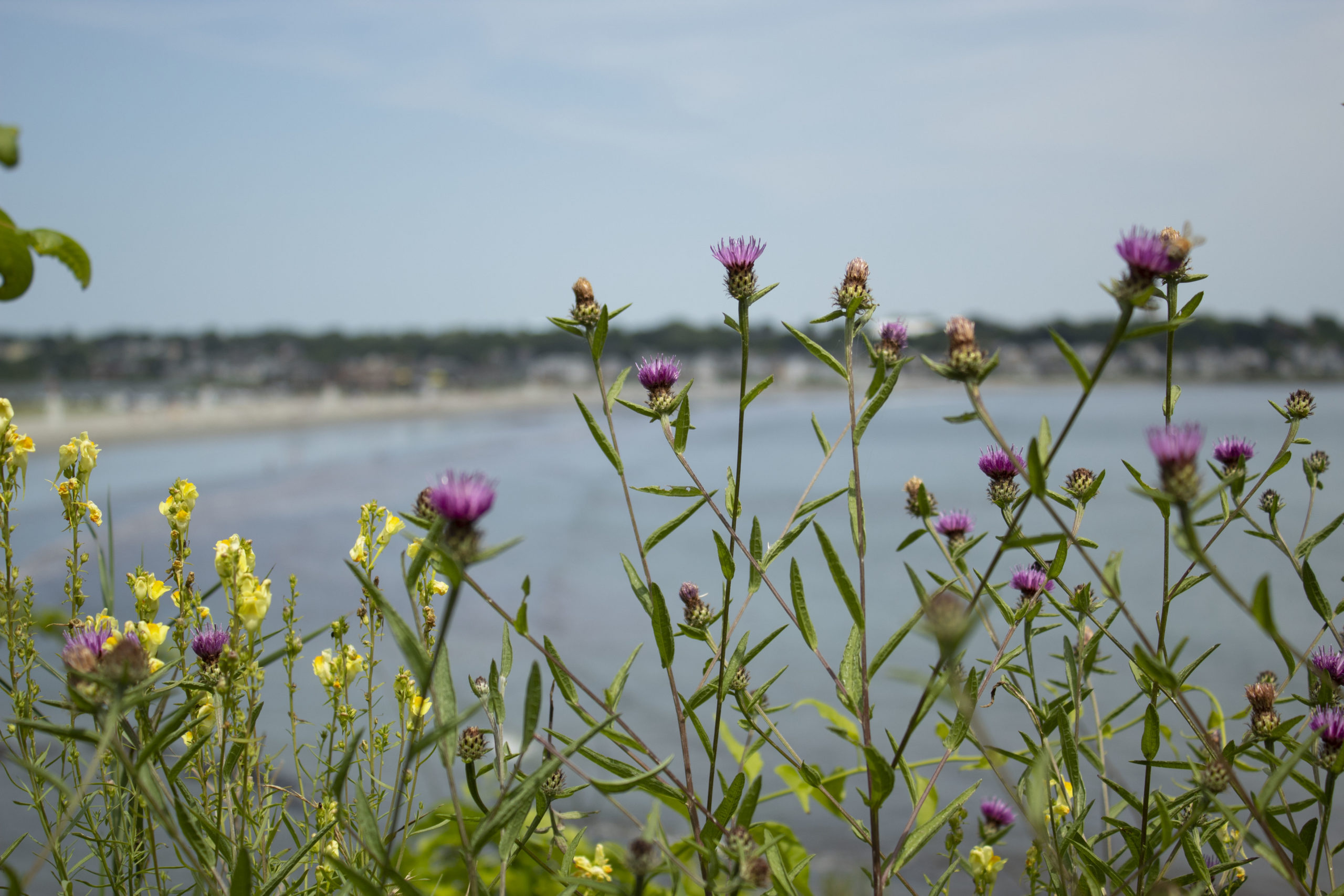 Newport, Rhode Island