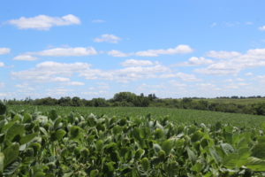 Wenger Family Farms 2022