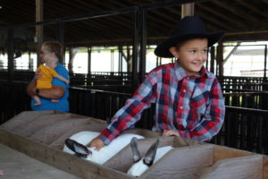 Connor Cameron: 2023 Warren County Agricultural Fair