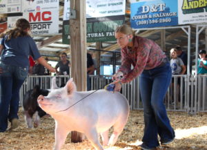 2023 Warren County Agricultural Fair