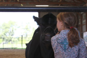 2023 Warren County Agricultural Fair