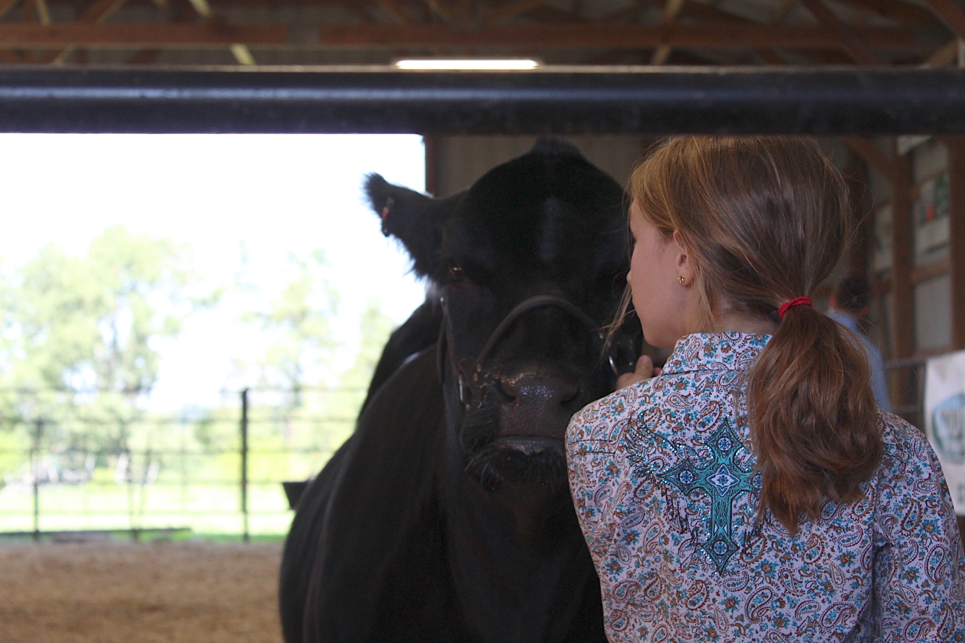 2023 Warren County Agricultural Fair